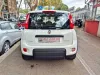 FIAT Panda 1.0 FireFly S&S Hybrid City Life Thumbnail 5